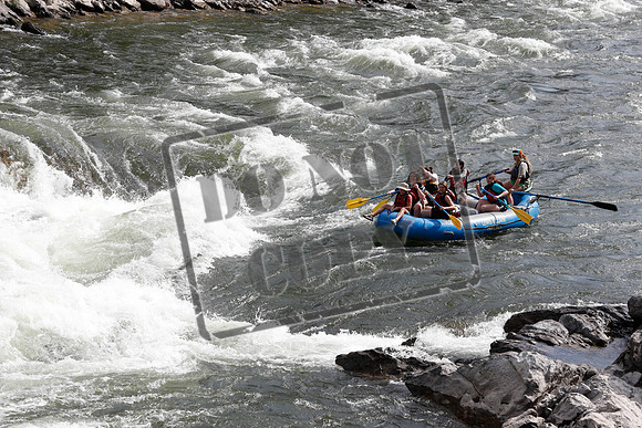 20200801-_MG_6453