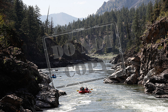 20200802-_MG_4202