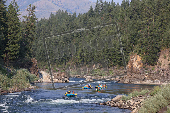 20210714-IMG_7017