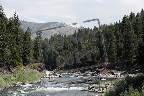 20200806-_MG_1413