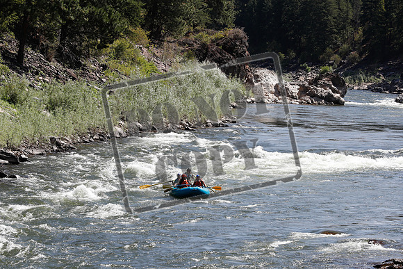 20200803-_MG_6455