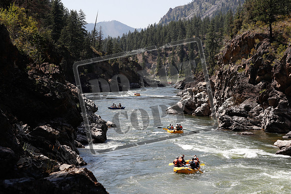 20200731-_MG_5346