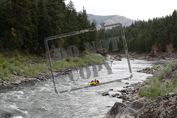 20200812-_MG_3546