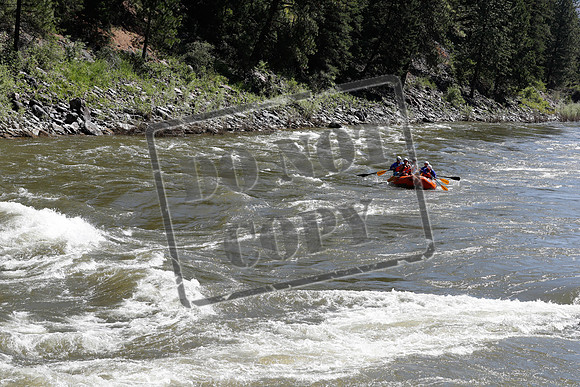 20200705-_MG_4528