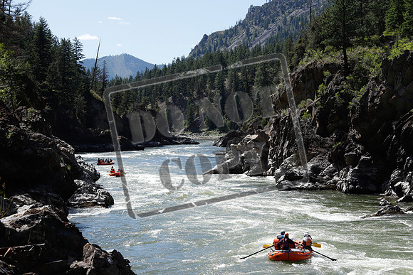 20200716-_MG_8921