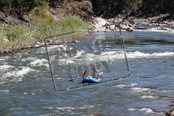 20200727-_MG_7479
