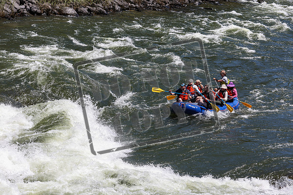 20240623-IMG_7288