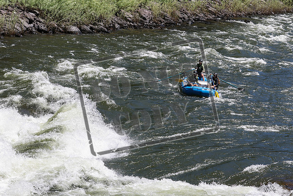 20240624-IMG_9518