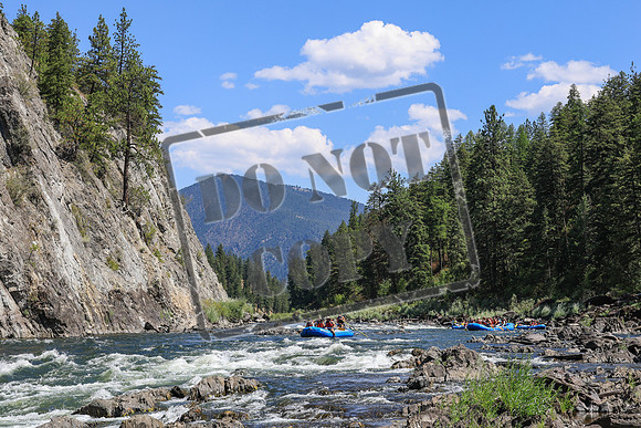 20250803-IMG_8433