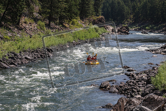 20240716-IMG_6266