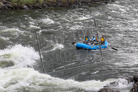 20240626-IMG_1207-3