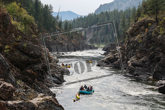 20240717-IMG_9247