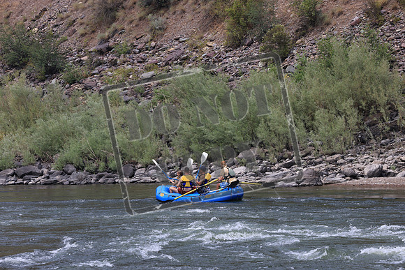 20210802-IMG_9133
