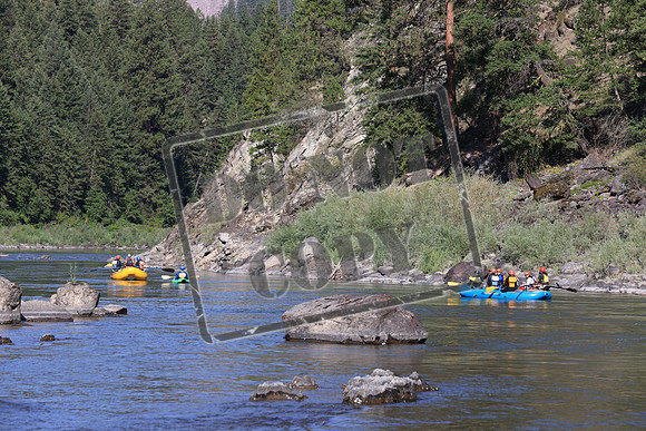 20210809-IMG_3908