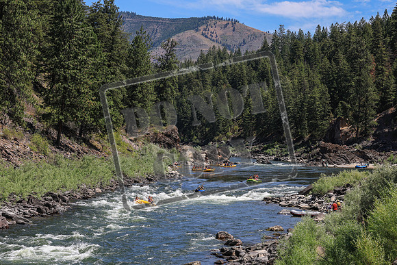 20250713-IMG_1920