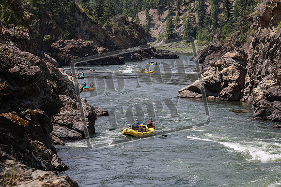 20240706-IMG_1512