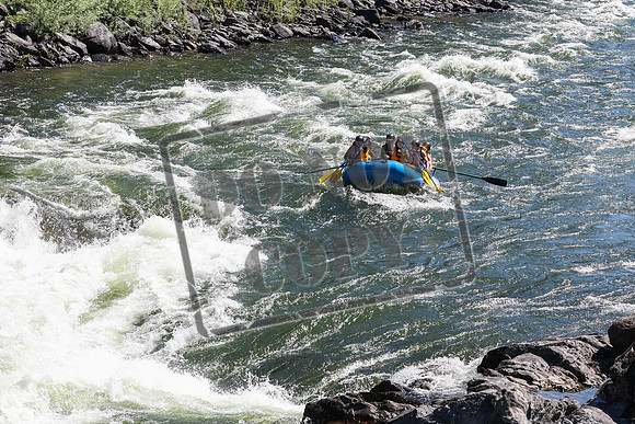 20240708-IMG_7140