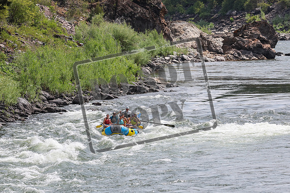20240714-IMG_0669