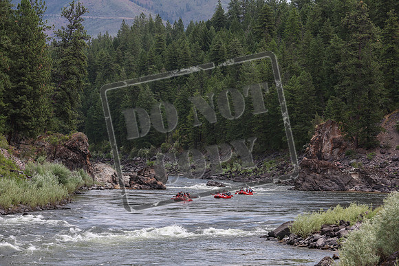 20240703-IMG_4135