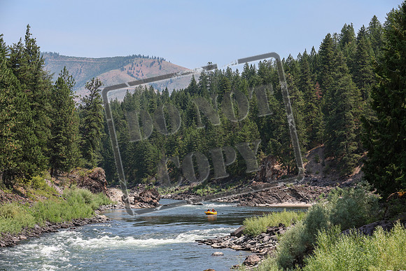 20240716-IMG_6748
