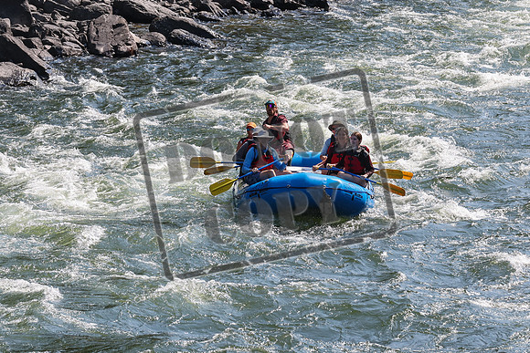 20240717-IMG_7828