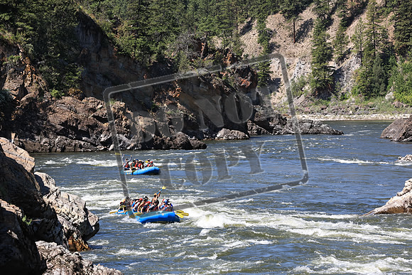 20220709-IMG_8460