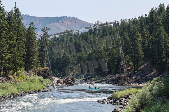 20240711-IMG_1650