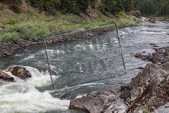 20240714-IMG_2491