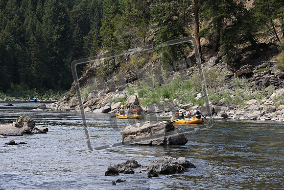 20220812-IMG_7473