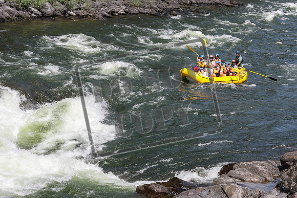 20240707-IMG_6390