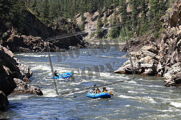 20220708-IMG_6772