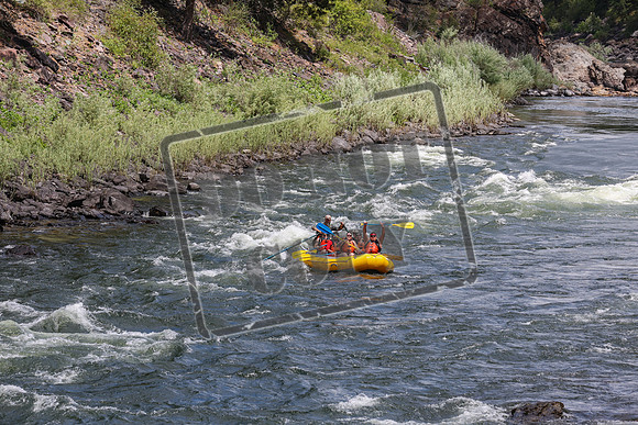 20240705-IMG_9522
