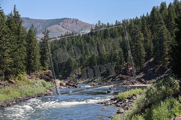 20240713-IMG_6741
