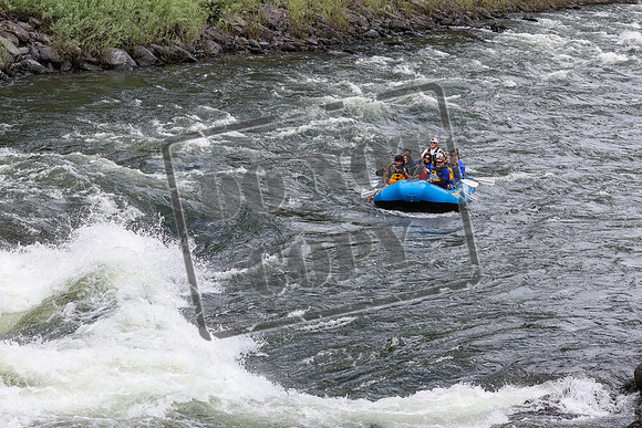 20240626-IMG_1791-3