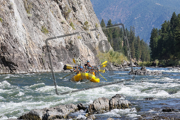 20240904-IMG_8511
