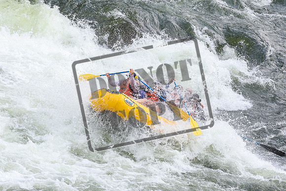 20240703-IMG_3688