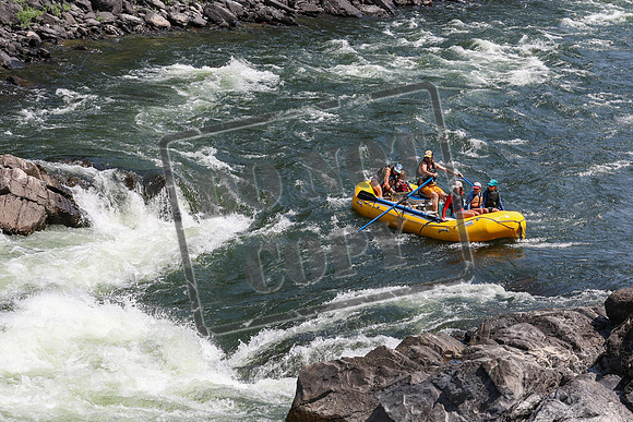 20240717-IMG_8395
