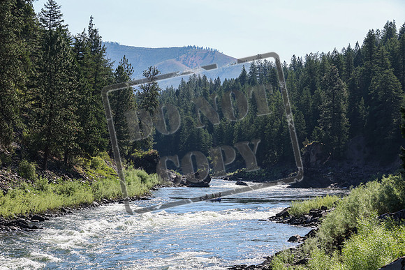 20240706-IMG_0515