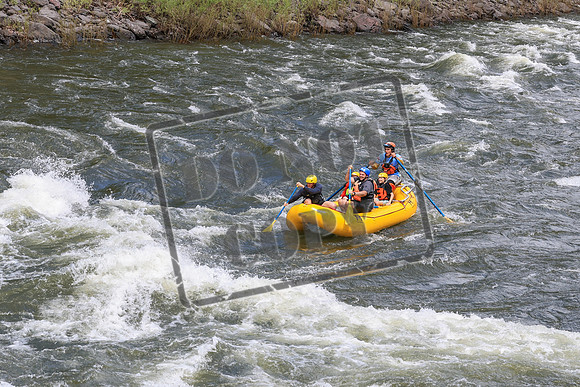 20250605-IMG_0268
