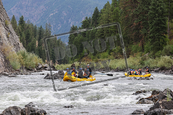 20240825-IMG_7309
