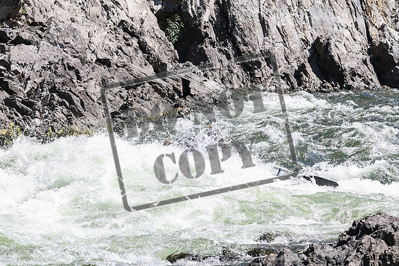 20240801-IMG_6689