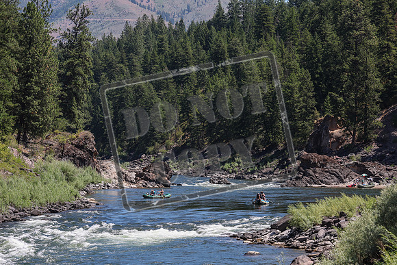 20240713-IMG_7183