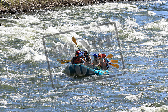 20220716-IMG_2007
