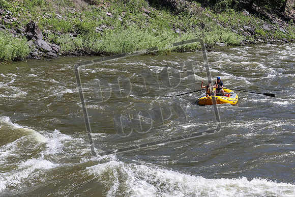 20240612-IMG_8454