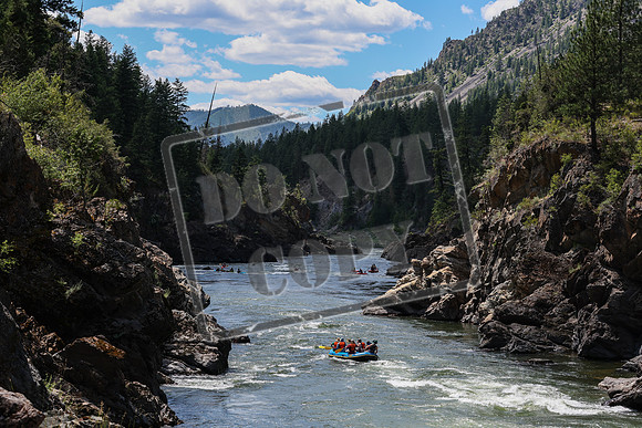 20240704-IMG_6456