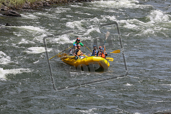 20240703-IMG_3997