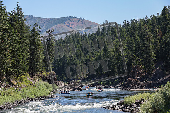 20240713-IMG_5994