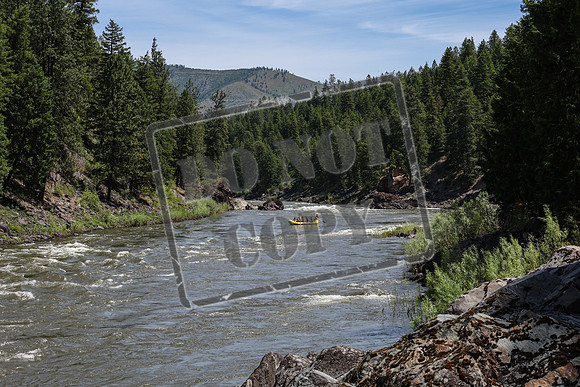 20240613-IMG_8854
