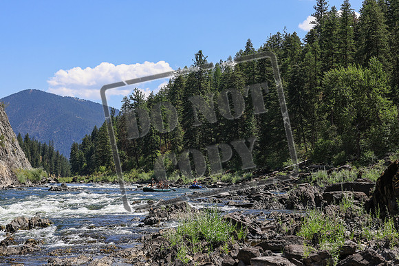 20250803-IMG_7623