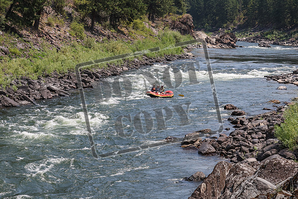 20240717-IMG_8364